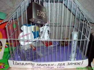 /Files/images/###01 здоров\'я збережем (21).JPG